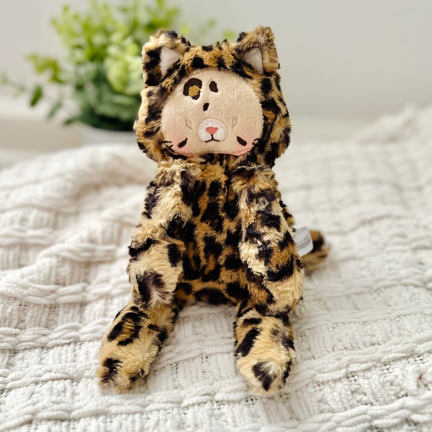 ๐ Baby Resident Leopard Cub