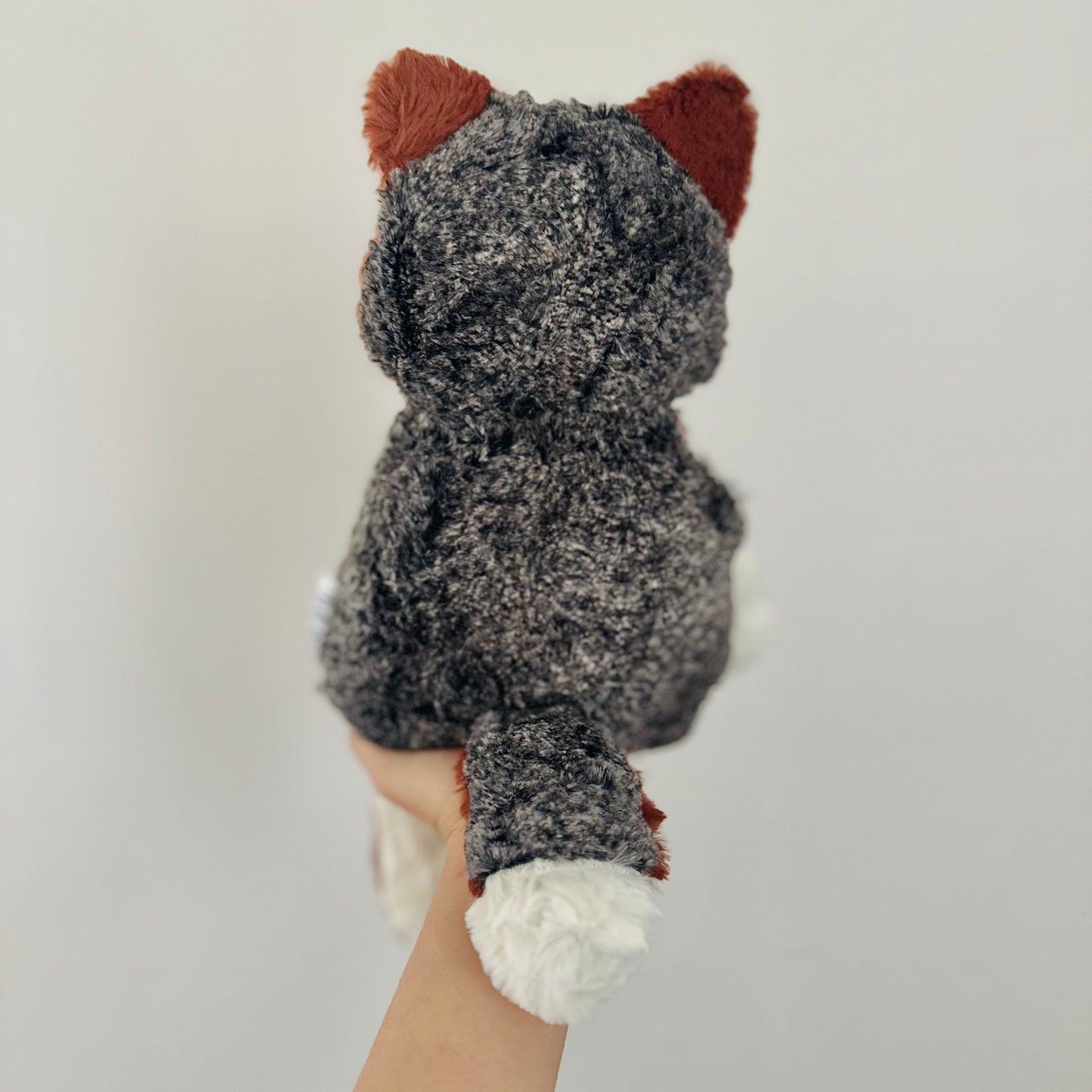 🎃 Oliver, the Island Fox