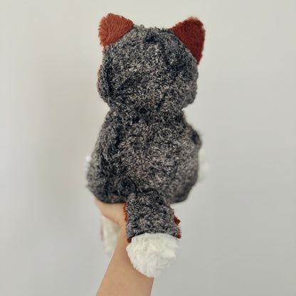 🎃 Oliver, the Island Fox