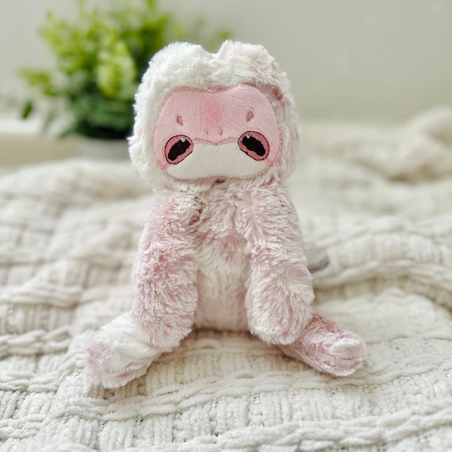 🌷 Baby Resident Blossom Powder Frog