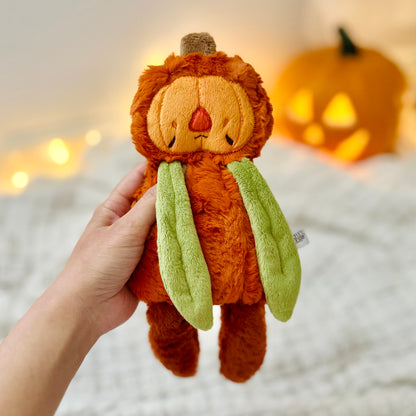 🎃  Pumpkin Patch Baby Resident